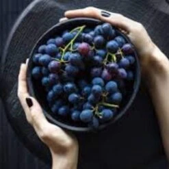 'Vanessa' Seedless Outdoor Grape Vine 7 'Vanessa' Seedless Outdoor Grape Vine -Roots FRU0063 2