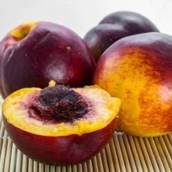 The 3 Best Fruits To Grow In Pots | Nectarine, Fig & Blueberry 14 The 3 Best Fruits To Grow In Pots | Nectarine, Fig & Blueberry -Roots FRU0140 1 561976aa 3a41 4efc bcd6 02411302aa0e