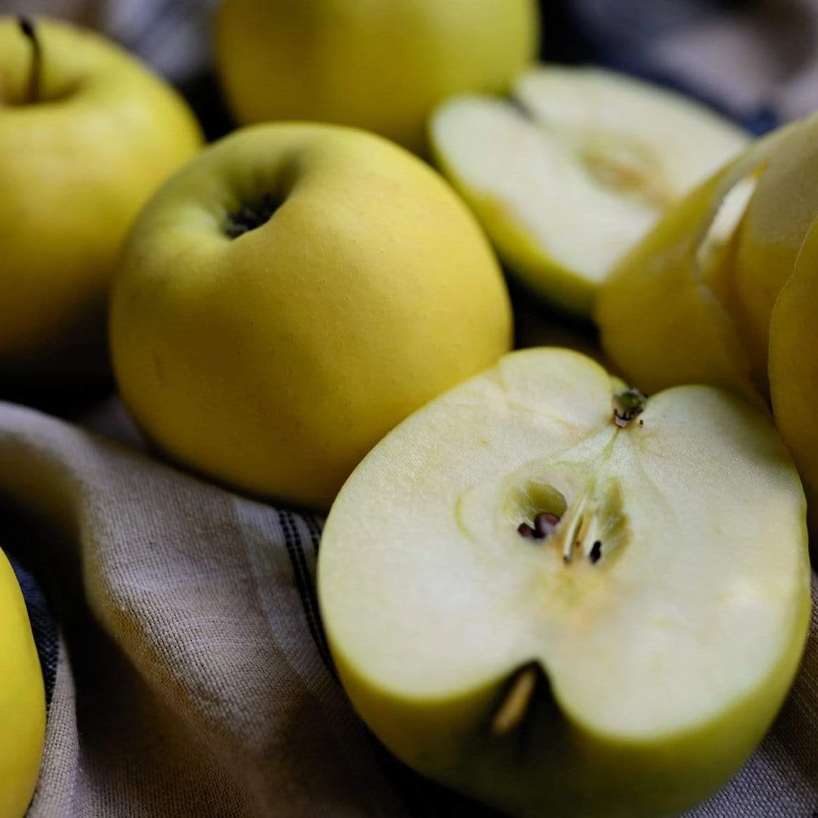 Herefordshire Russet Apple Tree 3 Herefordshire Russet Apple Tree
