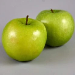 Granny Smith Apple Tree 10 Granny Smith Apple Tree -Roots FRU0227 3