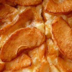 Bramley's Seedling Cordon Apple Tree 7 Bramley's Seedling Cordon Apple Tree -Roots FRU0258 4 42cffabe a4d3 4601 9d07 886e881b0539