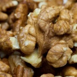 'Buccaneer' Walnut Tree 8 'Buccaneer' Walnut Tree -Roots FRU0413 3