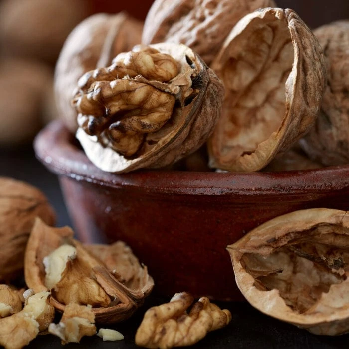 Walnut Tree | Juglans Regia 4 Walnut Tree | Juglans Regia - Image 2